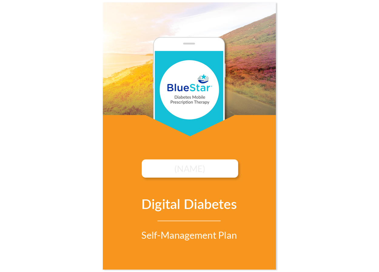 bluestar_booklet_cover