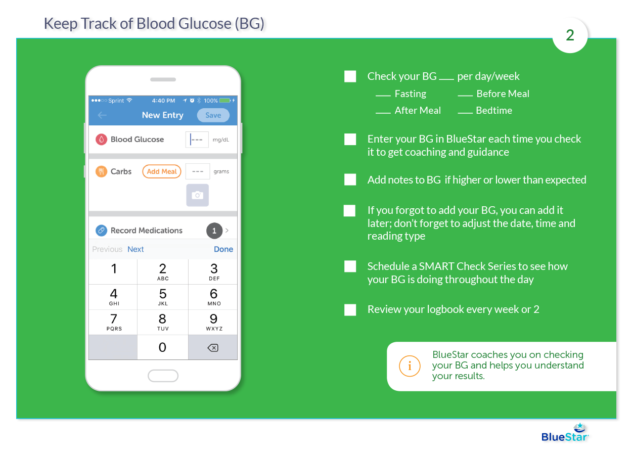 bluestar_booklet_page_2