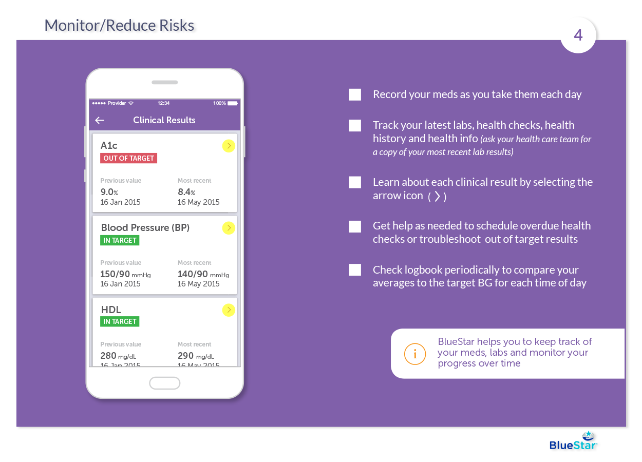 bluestar_booklet_page_4